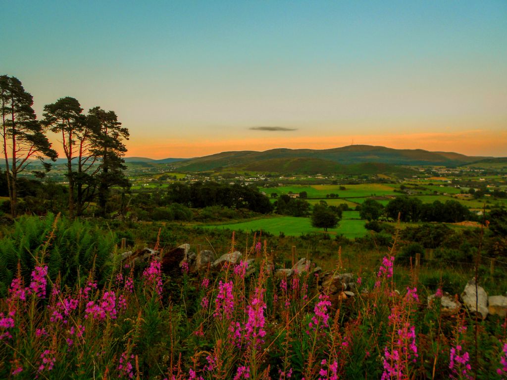 Exploring the Foundations of Farming: Soil Health Event in Cullyhanna