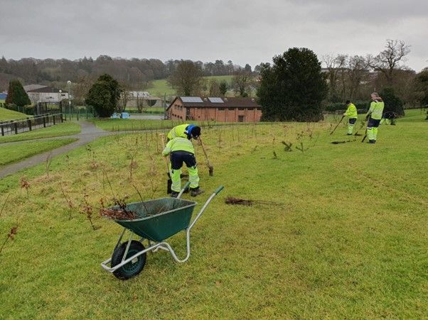 bessbrook tree planting