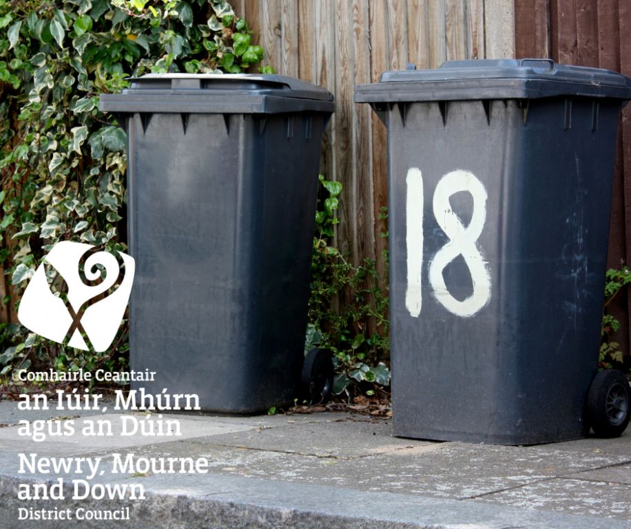 black bins ns image
