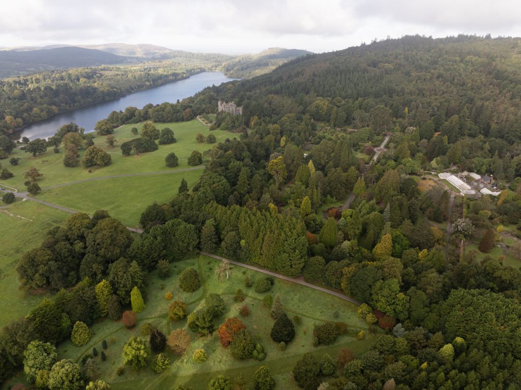 Council Approves Next Phase of Castlewellan Forest Park Treetop Walk