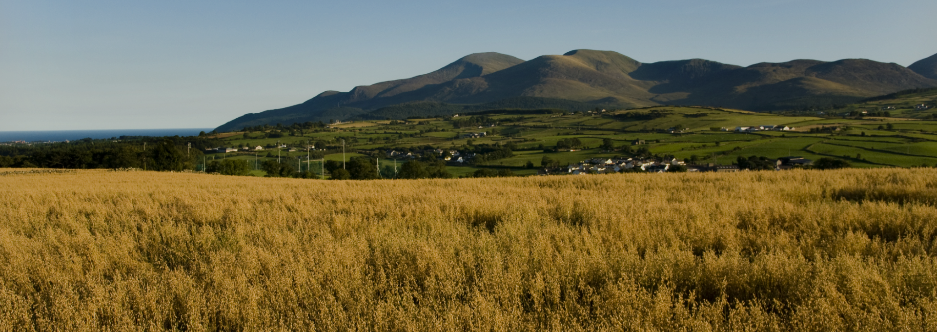 HP Banner 1 Mountains