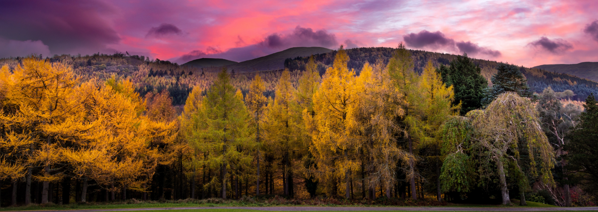 HP Banner 2 Sunset